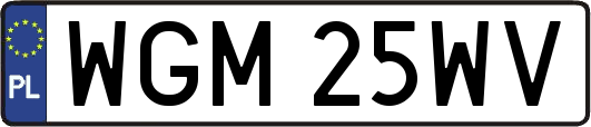 WGM25WV