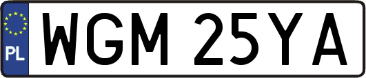 WGM25YA