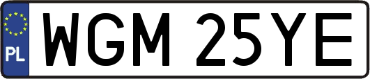 WGM25YE