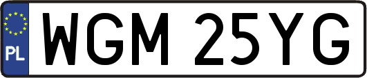 WGM25YG