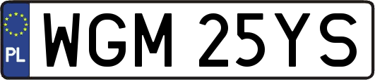 WGM25YS