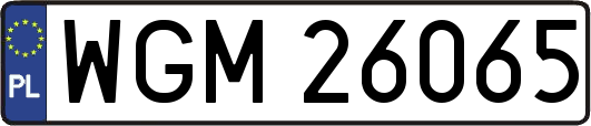 WGM26065