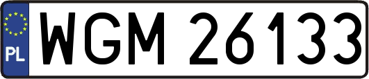 WGM26133