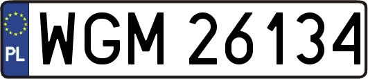 WGM26134