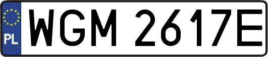 WGM2617E