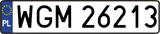 WGM26213