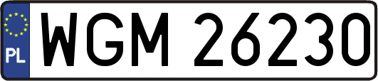 WGM26230