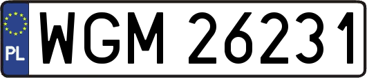 WGM26231