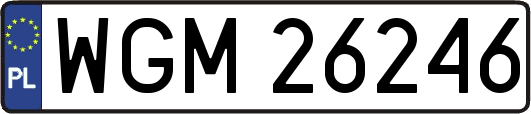 WGM26246