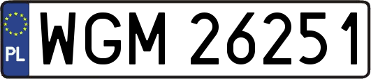 WGM26251