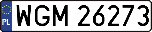 WGM26273