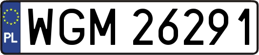 WGM26291