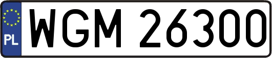 WGM26300