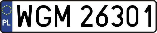 WGM26301