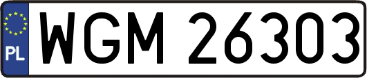 WGM26303