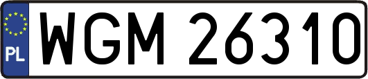 WGM26310
