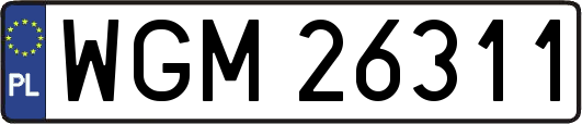 WGM26311