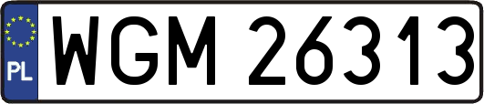 WGM26313