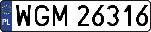 WGM26316