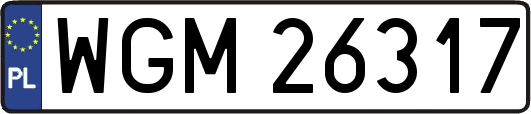 WGM26317