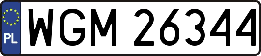 WGM26344