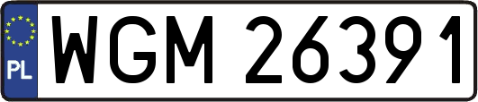 WGM26391