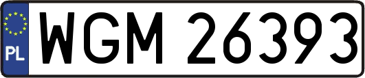 WGM26393