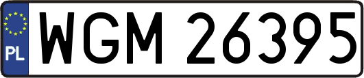 WGM26395