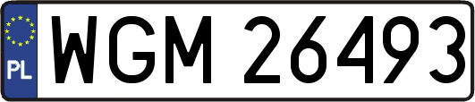 WGM26493