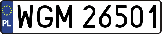 WGM26501