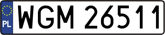 WGM26511
