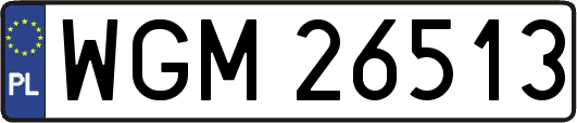WGM26513