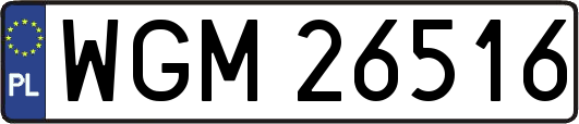 WGM26516