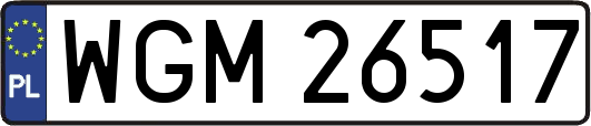 WGM26517
