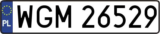 WGM26529