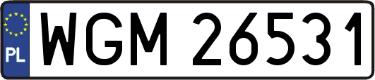 WGM26531