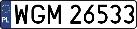 WGM26533