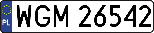 WGM26542