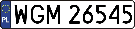 WGM26545