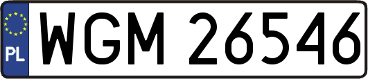 WGM26546