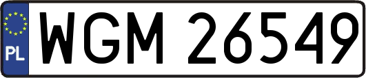 WGM26549