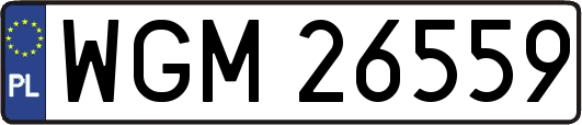 WGM26559