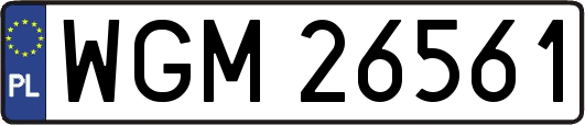 WGM26561
