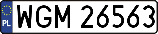 WGM26563