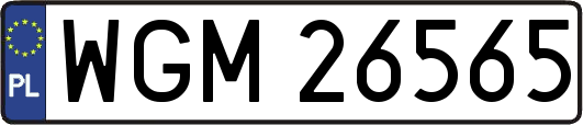 WGM26565