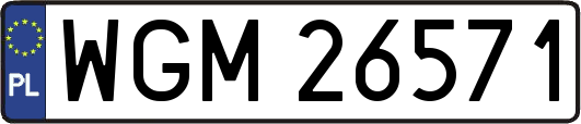 WGM26571