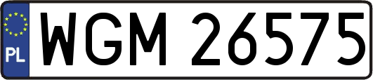 WGM26575