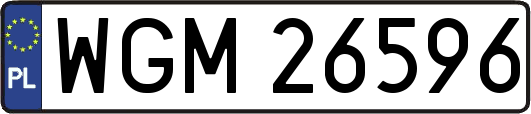 WGM26596