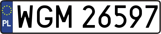 WGM26597