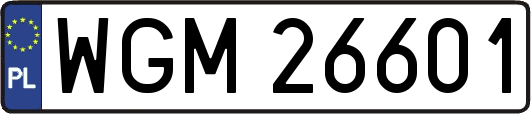 WGM26601